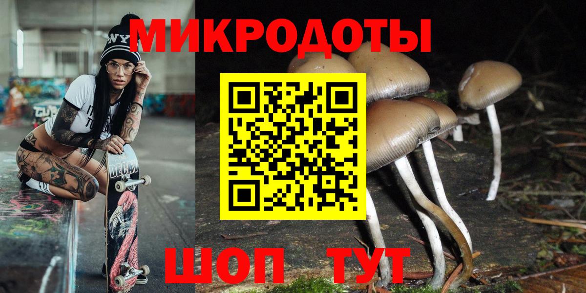 Балашиха  Псилоцибиновые грибы Cubensis  Вход с VPN  Псилоцибиновые грибы Psilocybine cubensis 